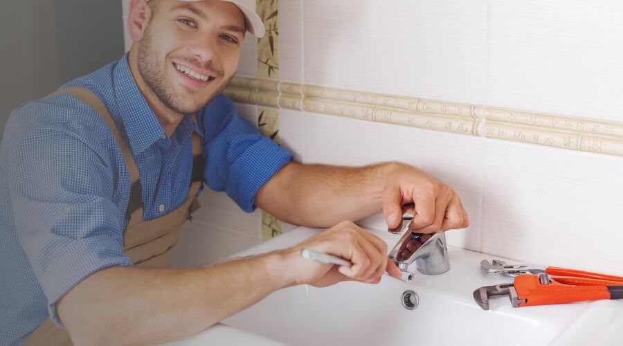 Professional Leak Detection Services services in Friesland, WI